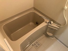 バス