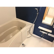 バス