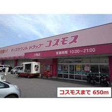 ドラックストア