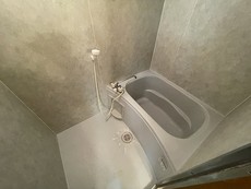 バス