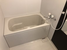 バス