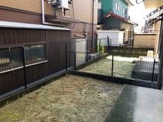 庭