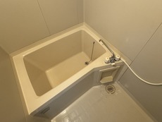 バス