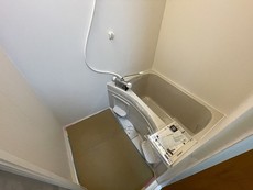 バス