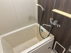 バス