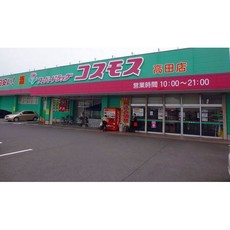 ドラックストア