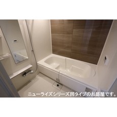 バス