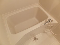 バス