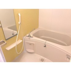 バス