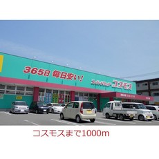 ドラックストア