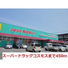ドラックストア
