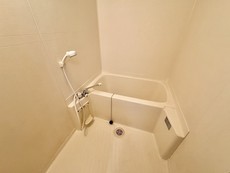 バス