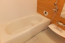 バス