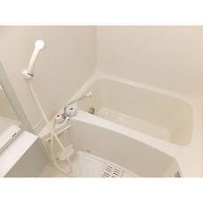 バス