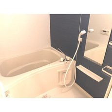 バス