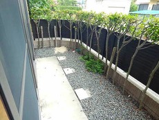 庭