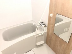 写真は別部屋