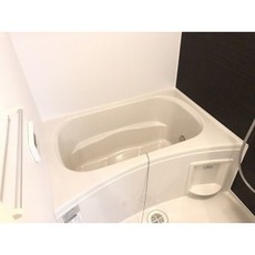バス