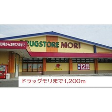 ドラックストア