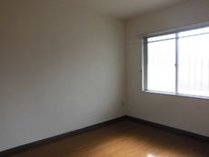 写真は別部屋です