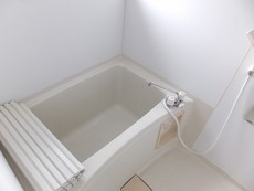 バス
