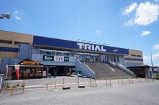 トライアル