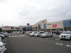 イオン若松店