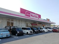 マックスバリュ-上の原店