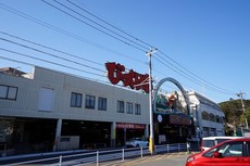 直方がんだびっくり市