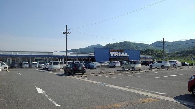 トライアル