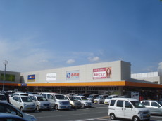 ディスカウントストア