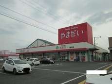 やまだい