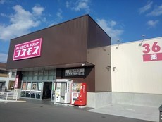 コスモス