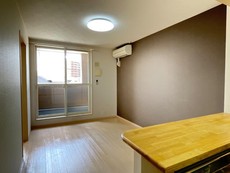 照明はサービス品