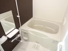 バス
