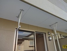 庭（イメージ）