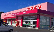 ドラッグコスモス