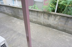 庭　14枚中 11枚目