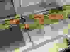 内装　17枚中 17枚目