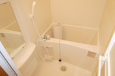 バス　16枚中 7枚目